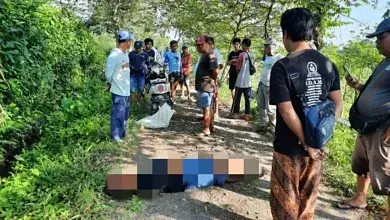 Pencari Bekicot Meninggal Dunia di Area Persawahan