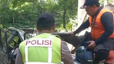 Pohon Tumbang Jalur Gumitir, Timpa Mobil Izusu Panther