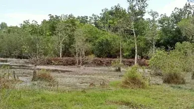 Diduga Oknum ASN Dinas Perkim OI, Membuang Bekas Kerukan ke DAS Demi Kepentingan Pribadi