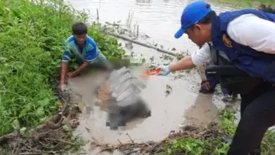Temuan mayat di SP. Padang membuat heboh
