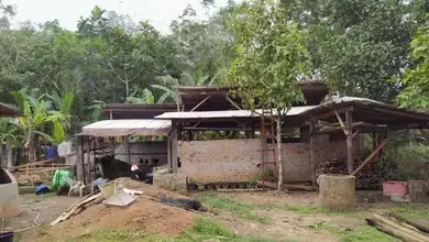 Viral pemberitaan Oknum Kades Sinar Harapan Mulya (SP3), Ketua SPM Sumsel angkat bicara