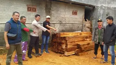 Petugas Temukan Kayu Jati Ilegal Di Belakang Rumah Tak Berpenghuni