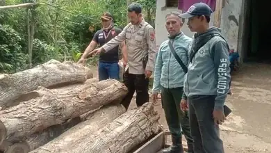 Kayu Jati Ilegal Menumpuk Di Pekarangan Rumah Kosong
