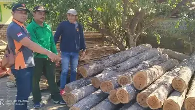 Polhutmob Perhutani KPH Banyuwangi Selatan Temukan Adanya Kayu Jati Ilegal di Meubel