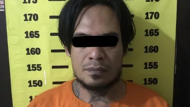 Berkali-kali Curi Durian, Pelaku Tertangkap Basah Gondol Puluhan Durian Montong dan Musang King