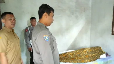 Penyadap Nira Meninggal Dunia Usai Jatuh Dari Pohon Kelapa Setinggi 15 Meter