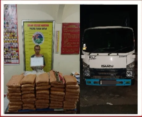 Tim Tarantula Polres Tanah Datar Gagalkan Upaya Penyelundupan Ganja Antar Pulau.