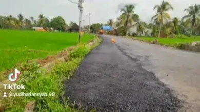 Aspal Di Atas Rumput Pembangunan Inpres Talang Bunut-Lemeupit Terkesan Asal Jadi