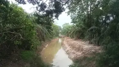 Normalisasi Sungai Desa Ketapang ll Diduga Tumpang Tindih