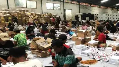 Ribuan Surat Suara Pemilu 2024 Rusak di KPU Sidoarjo