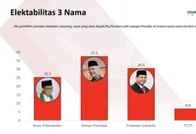 survey elektabilitas Capres 2024