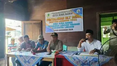 blt dd sukadamai 2024