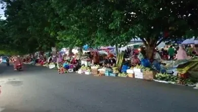 Jelang Idul Adha 1445 H Penjual Daun Ketupat Sepanjang Jalan. Kota Ternate