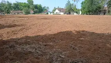 Pekon Sukoharum Realisasikan Dana Desa Tahap ll Tahun 2024