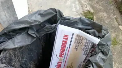 UPT Tambak Rejo