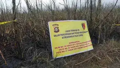 Kebakaran Lahan Tebu