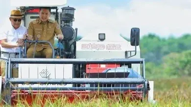 Paslon Petahana Panca-Ardani Sosialisasikan Program Intensifikasi dan Ekstentifikasi Pertanian Padi