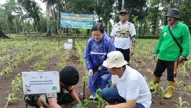 Dukung Program Asta Cita Ketahanan Pangan, Perhutani KPH Banyuwangi Selatan Bersama Stakeholder Tanam Ribuan Pohon Sukun
