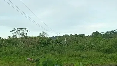 Jalan Penghubung antara Desa Di Obi Selatan Sungguh Di Sayangkan