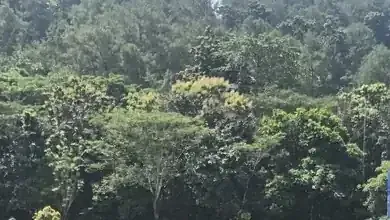 Anton Yondra Jadi Penggerak Retreat 546 Ketua DPRD se-Indonesia di Akmil Magelang