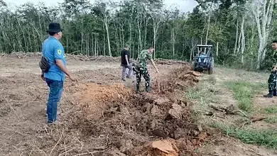 TNI Bersama Rakyat, TMMD Ke-128 Sulap Lahan 1,5 Hektar Jadi Kebun Jagung Produktif
