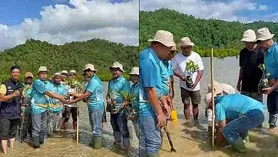 Aksi Penanaman Mangrove Boltim