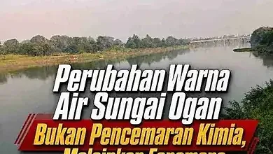 Air Sungai Ogan Berwarna Hijau Bukan Akibat Cemaran Kimia