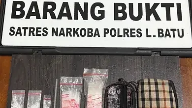 Narkoba. peredaran narkotika labuhanbatu