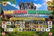Safari Berburu Hama Tanaman di Belimbing, Ratusan Penembak dari Tiga Provinsi Turun Langsung Tekan Hama Tupai
