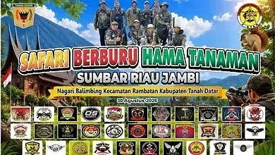 Safari Berburu Hama Tanaman di Belimbing, Ratusan Penembak dari Tiga Provinsi Turun Langsung Tekan Hama Tupai