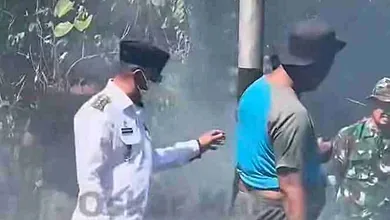 kebakaran hutan boltim