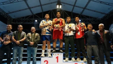 sarung tinju emas