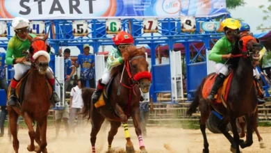 Foto pendukung berita Pacu Kuda Open Race dan Tradisional Bupati Cup 2026 Resmi Digelar